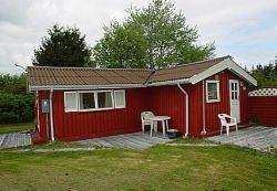 551_01.jpg